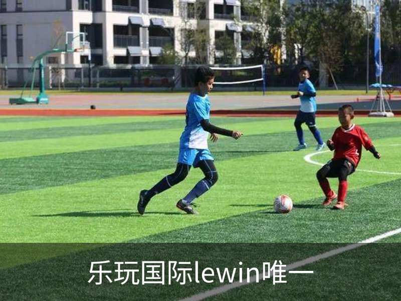 乐玩国际lewin唯一介绍